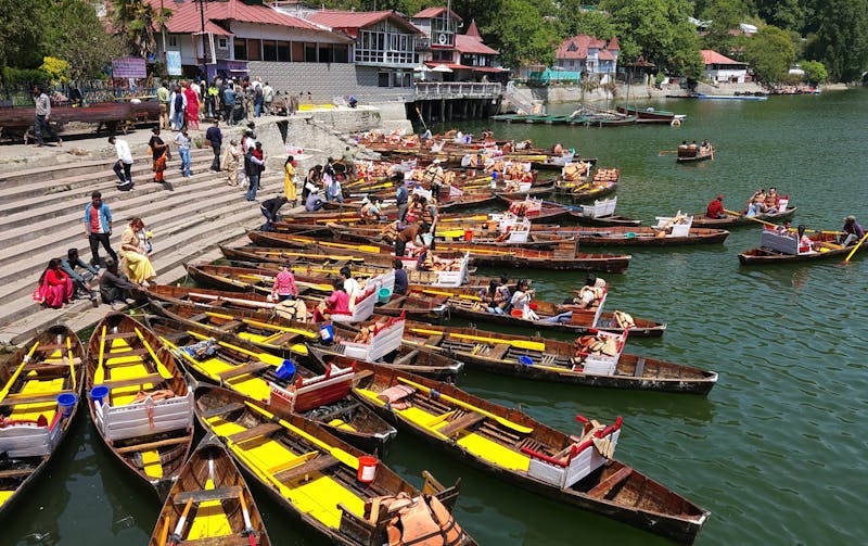 Feed the Elephants in the Signature Safari Adventure Tour